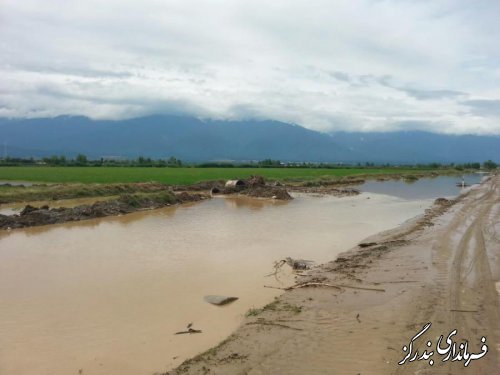 سیل به ۲۵۰ هکتار از اراضی کشاورزی بندرگز خسارت زد