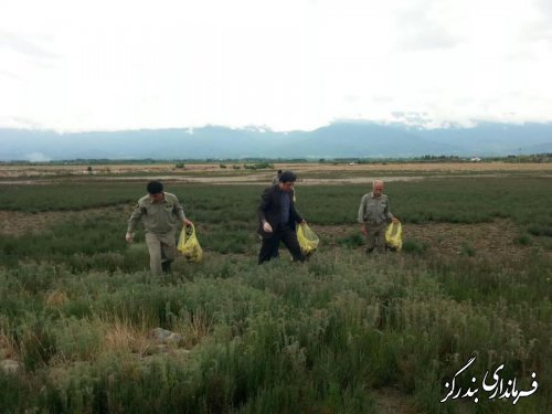  سواحل شهرستان بندرگز از زباله پاکسازی شد