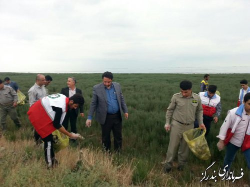  سواحل شهرستان بندرگز از زباله پاکسازی شد