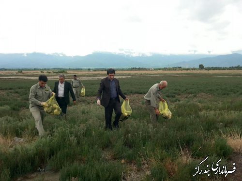  سواحل شهرستان بندرگز از زباله پاکسازی شد