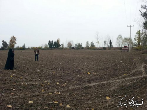  آغاز کشت دانش بنیان در اراضی موقوفه گلستان