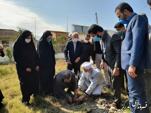 غرس نهال در کتابخانه عمومی نوکنده