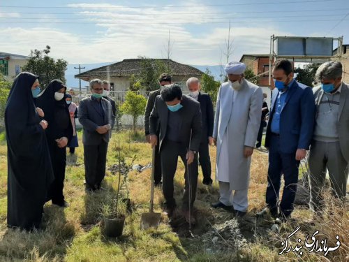 غرس نهال در کتابخانه عمومی نوکنده