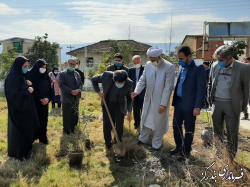 غرس نهال در کتابخانه عمومی نوکنده