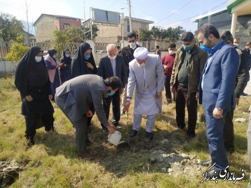 غرس نهال در کتابخانه عمومی نوکنده