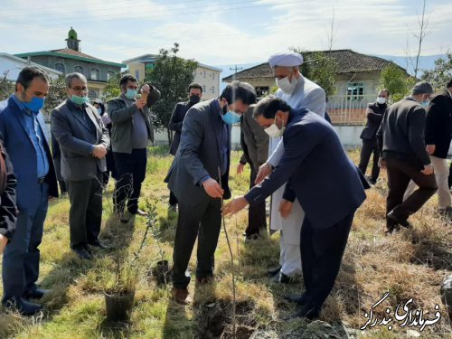 غرس نهال در کتابخانه عمومی نوکنده