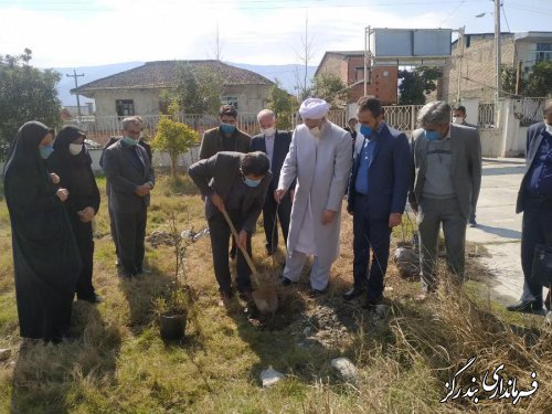 غرس نهال در کتابخانه عمومی نوکنده