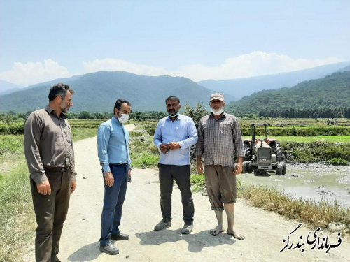 بازدید بخشدار نوکنده از مزارع روستاها