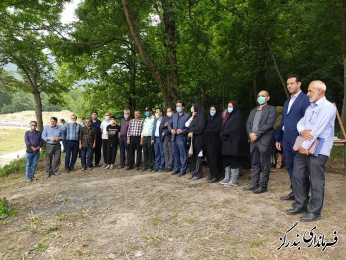 حضور پرشور هنرمندان در انتخابات تاثير به سزايی در جلب مشاركت مردم دارند
