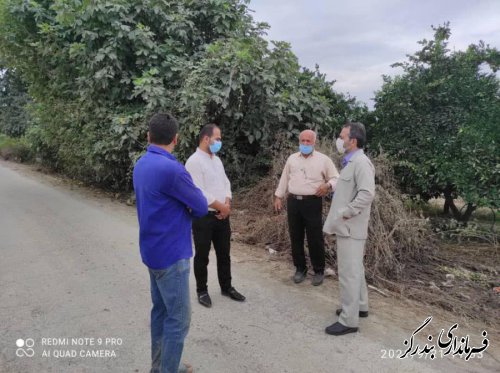  بازدید بخشدار نوکنده از اراضی باغی لیوان شرقی