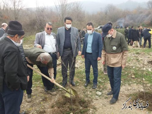 پویش ایران سرسبز در شهرستان بندرگز آغاز شد