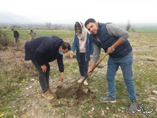 پویش ایران سرسبز در شهرستان بندرگز آغاز شد