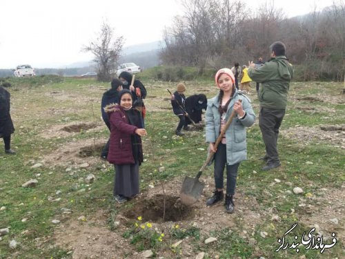 پویش ایران سرسبز در شهرستان بندرگز آغاز شد