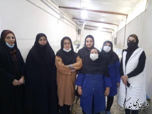 بازدید فرماندار بندرگز از کارگاه تولیدی سبزی و میوه خشک کنی روستای لیوان شرقی