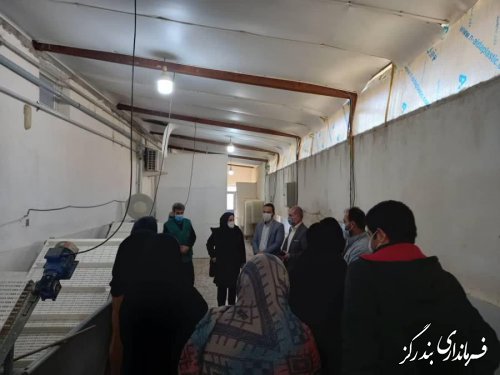 بازدید فرماندار بندرگز از کارگاه تولیدی سبزی و میوه خشک کنی روستای لیوان شرقی