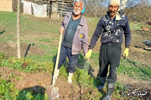 پویش ملی درخت کاری در بخش مرکزی بندرگز آغاز شد