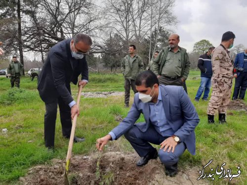 آیین روز درختکاری با حضور امام جمعه و فرماندار بندرگز