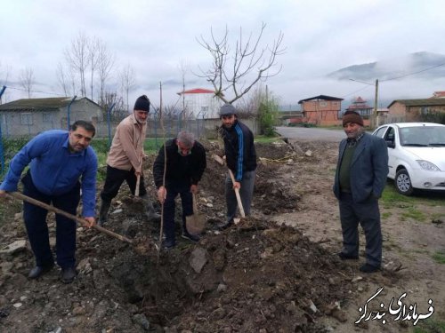 ۱۲۰ اصله نهال در ورودی غربی ترین روستای گلستان کاشته ‌شد