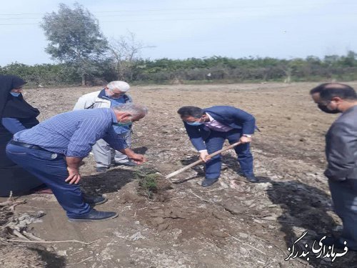 ۱۵۰ اصله نهال در روستای تلور کاشته شد