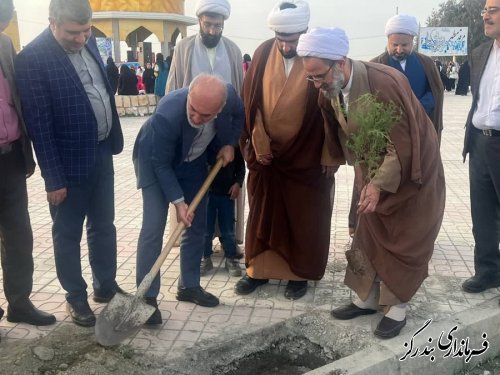 کاشت ۵۰ هزار درخت در شهرستان بندرگز آغاز شد