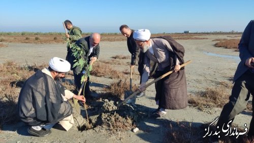 گزارش تصویری || آغاز طرح کاشت یک میلیارد درخت با حضور فرماندار شهرستان بندرگز