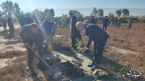 گزارش تصویری || آغاز طرح کاشت یک میلیارد درخت با حضور فرماندار شهرستان بندرگز