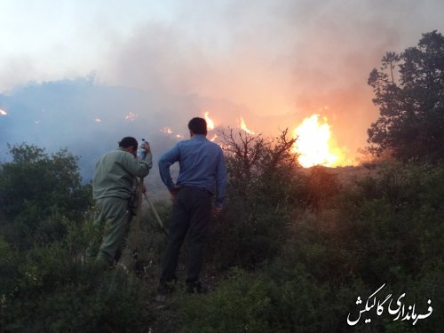 اخبار تکمیلی آتش سوزی پارک ملی گلستان