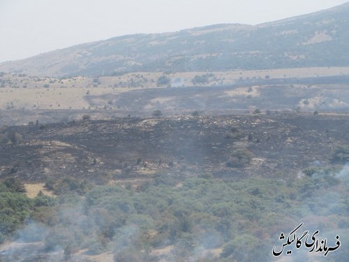 آتش سوزی پارک ملی گلستان بطور کامل مهارشد