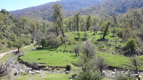 بازدید قاضوی بخشدار لوه از روستای منجلو