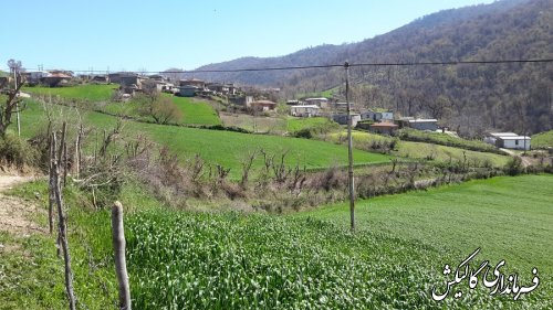 بازدید قاضوی بخشدار لوه از روستای منجلو