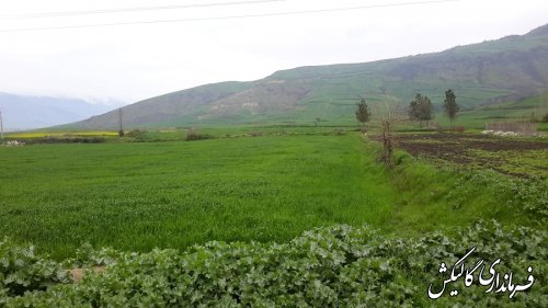 بازدید قاضوی بخشدار لوه از روستای پاسنگ بالا