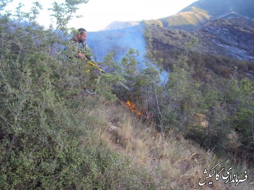 مهار آتش سوزی دو نقطه از جنگل گلستان