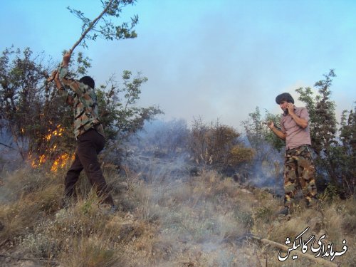 مهار آتش سوزی دو نقطه از جنگل گلستان