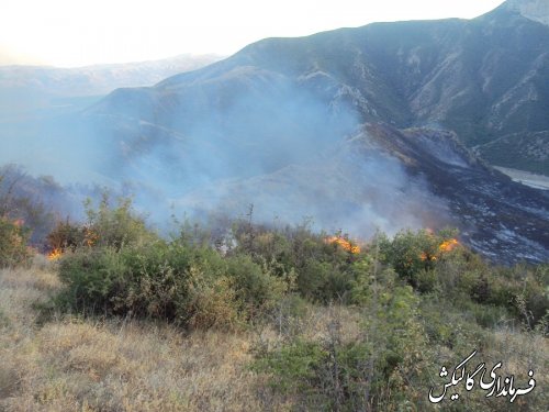 مهار آتش سوزی دو نقطه از جنگل گلستان