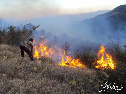 مهار آتش سوزی دو نقطه از جنگل گلستان