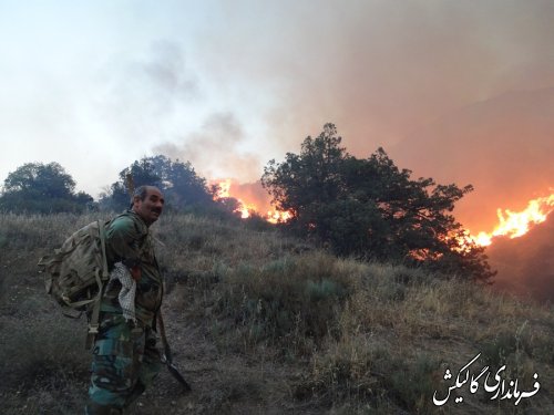 اخبار تکمیلی آتش سوزی پارک ملی گلستان