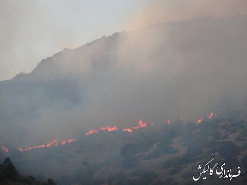 اخبار تکمیلی آتش سوزی پارک ملی گلستان