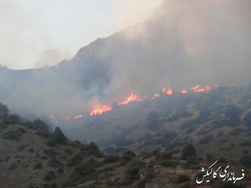 اخبار تکمیلی آتش سوزی پارک ملی گلستان