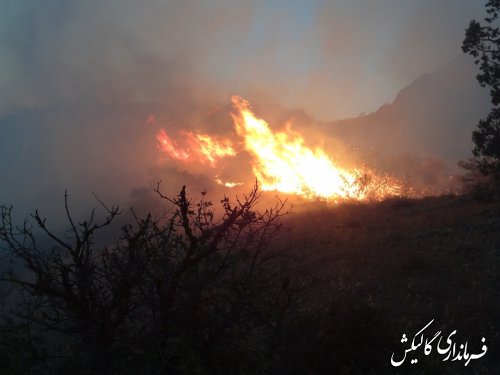 اخبار تکمیلی آتش سوزی پارک ملی گلستان