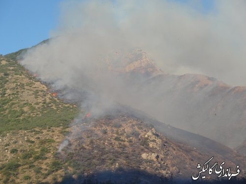 اخبار تکمیلی آتش سوزی پارک ملی گلستان