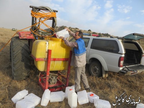 آتش سوزی پارک ملی گلستان بطور کامل مهارشد