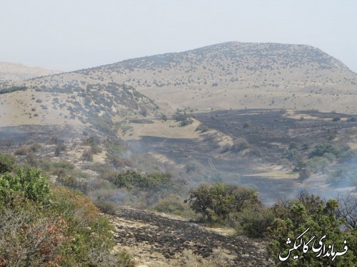 آتش سوزی پارک ملی گلستان بطور کامل مهارشد