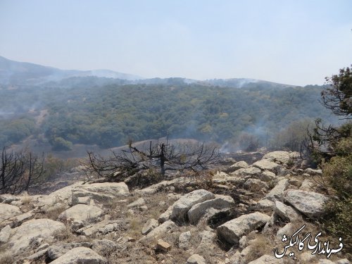 آتش سوزی پارک ملی گلستان بطور کامل مهارشد