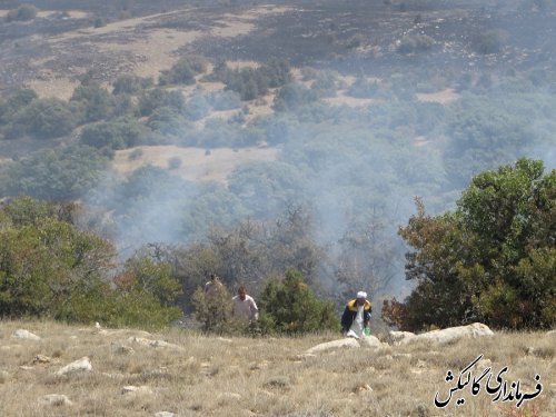 آتش سوزی پارک ملی گلستان بطور کامل مهارشد