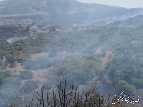 آتش سوزی پارک ملی گلستان بطور کامل مهارشد