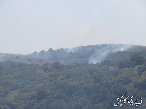 آتش سوزی پارک ملی گلستان بطور کامل مهارشد