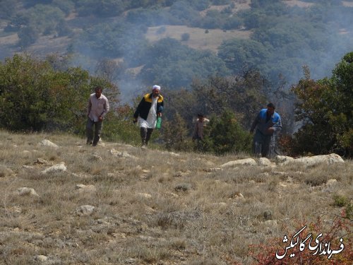 آتش سوزی پارک ملی گلستان بطور کامل مهارشد