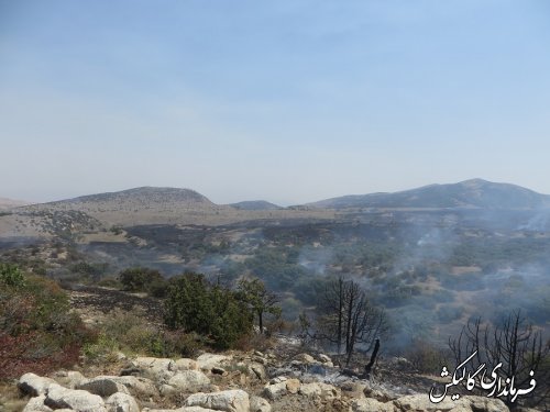 آتش سوزی پارک ملی گلستان بطور کامل مهارشد