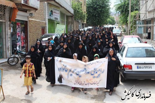 همایش بزرگ روز ملی عفاف و حجاب شهرستان گالیکش  برگزار شد.