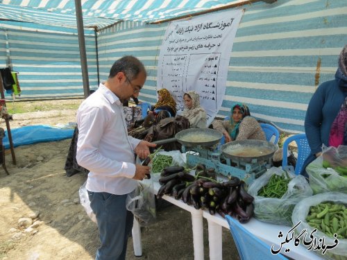 مجموعه جشنواره های تابستانه شهرستان گالیکش کلید خورد